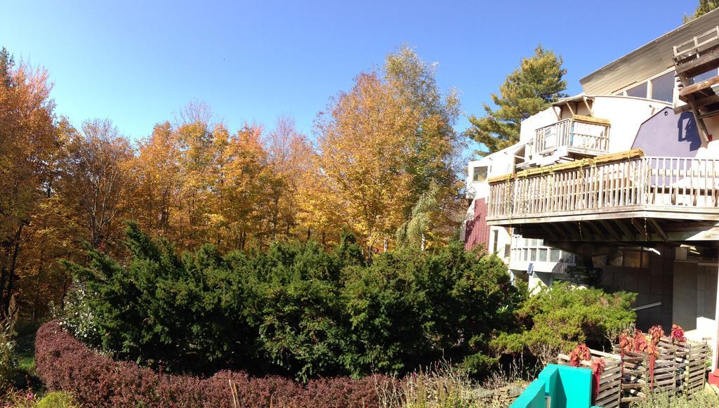 A Stone Wall Inn Windham ภายนอก รูปภาพ